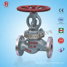 liquified gas globe valve